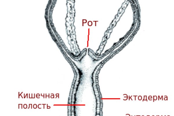 Onion сайт кракен